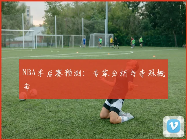 NBA季后赛预测：专家分析与夺冠概率