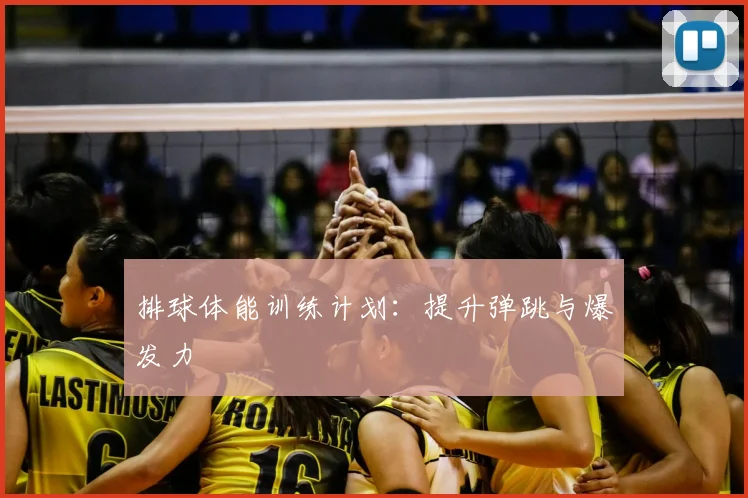 排球体能训练计划：提升弹跳与爆发力