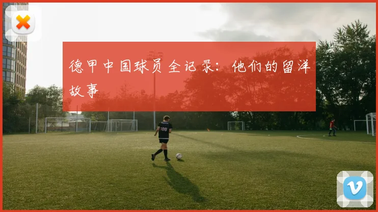 德甲中国球员全记录：他们的留洋故事